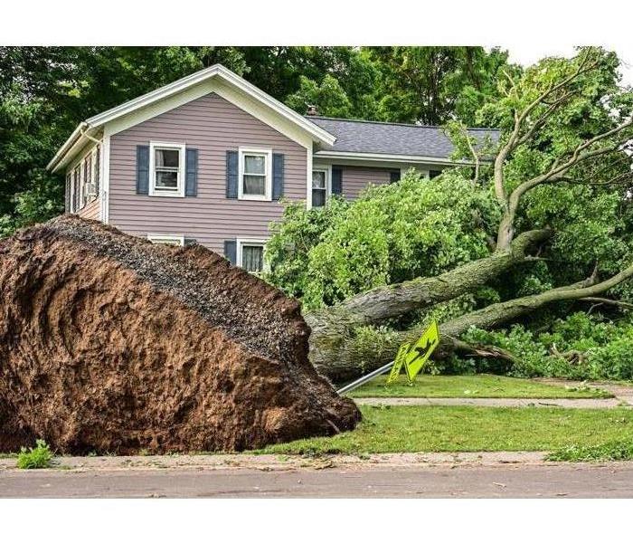 "tree blown over with roots sticking out of the ground in front of a house  