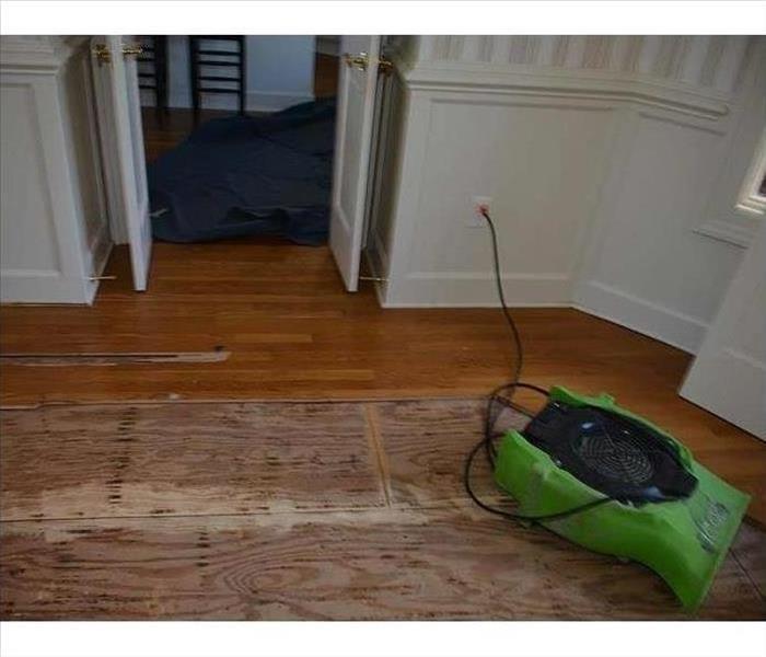 An armorer drying the hardwoods in this home after a water loss