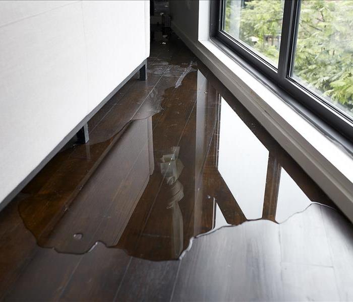 Wood flooring with standing water under a couch, next to a set of windows. 