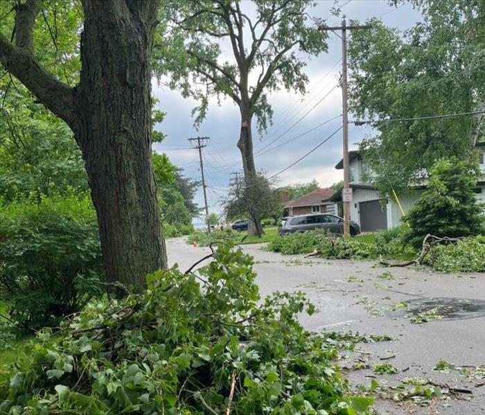 "an image of a tree laying across a driveway after a storm"