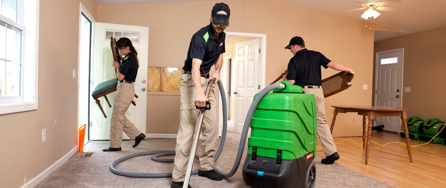 Bronx, NY cleaning services